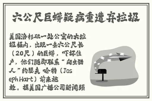 nike美国官网入口